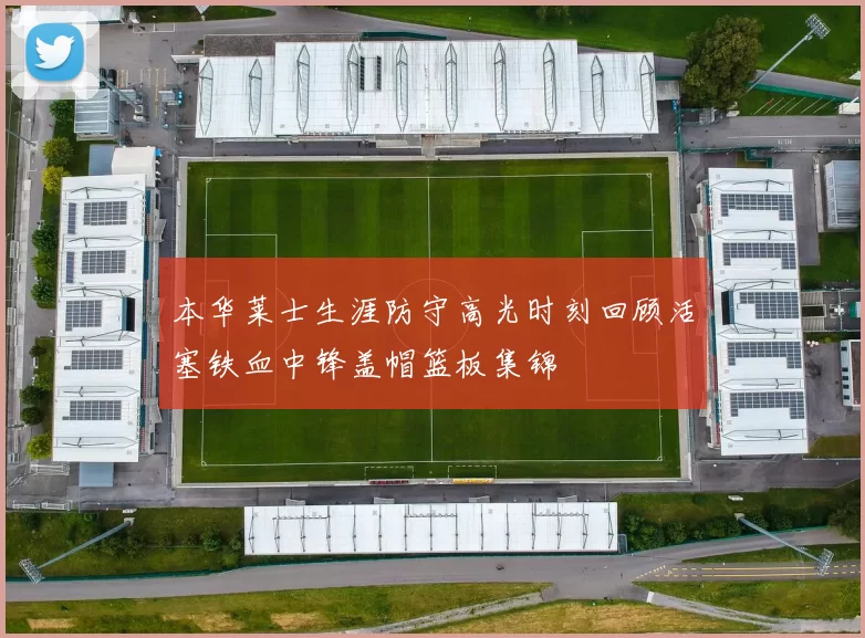 本华莱士生涯防守高光时刻回顾活塞铁血中锋盖帽篮板集锦
