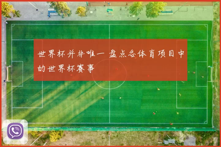 世界杯并非唯一 盘点各体育项目中的世界杯赛事