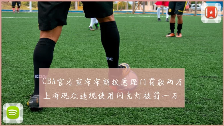 CBA官方宣布布朗故意蹬门罚款两万上海观众违规使用闪光灯被罚一万