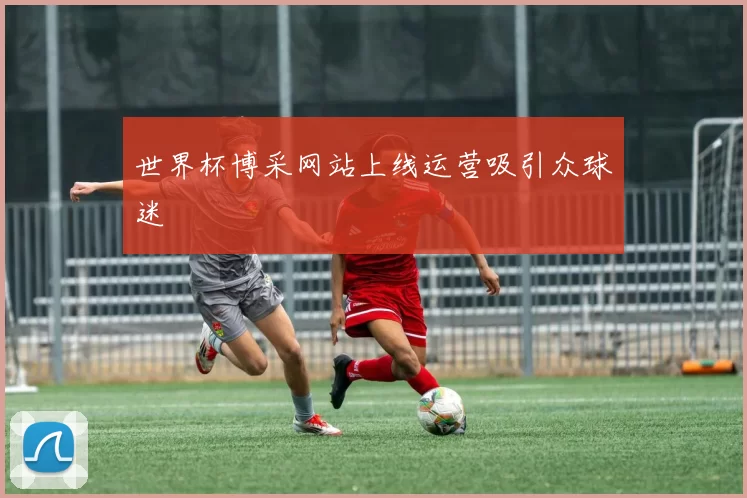 世界杯博采网站上线运营吸引众球迷