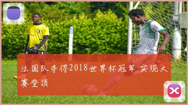 法国队夺得2018世界杯冠军 实现大赛登顶