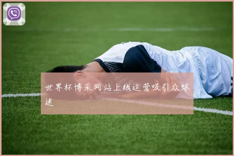 世界杯博采网站上线运营吸引众球迷