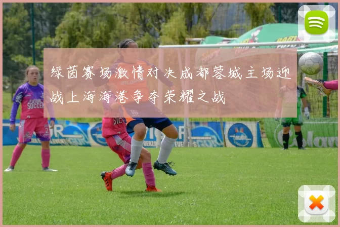 绿茵赛场激情对决成都蓉城主场迎战上海海港争夺荣耀之战