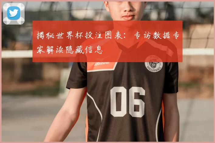 揭秘世界杯投注图表:专访数据专家解读隐藏信息