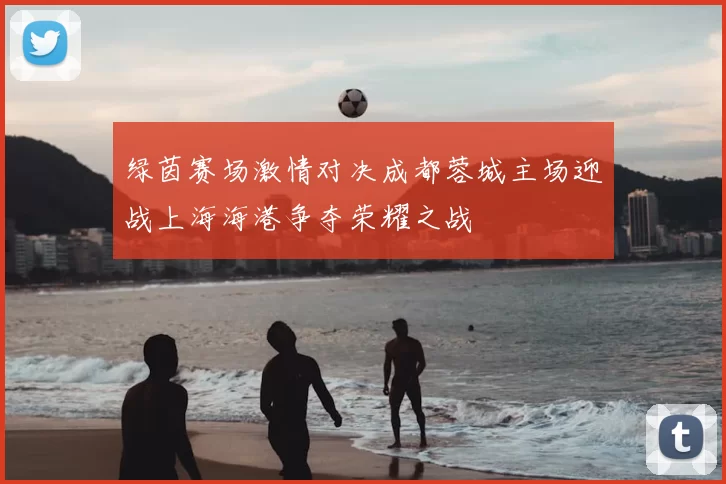 绿茵赛场激情对决成都蓉城主场迎战上海海港争夺荣耀之战