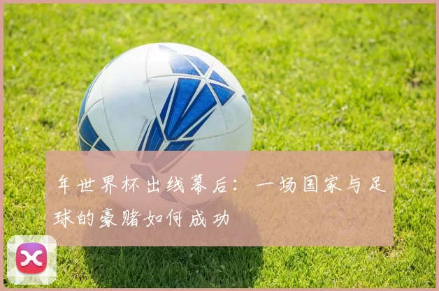 年世界杯出线幕后:一场国家与足球的豪赌如何成功