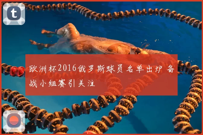 欧洲杯2016俄罗斯球员名单出炉 备战小组赛引关注