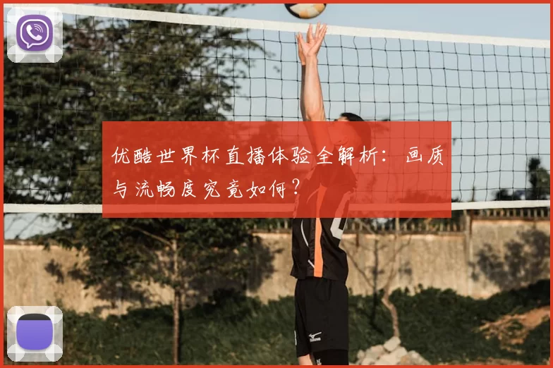优酷世界杯直播体验全解析：画质与流畅度究竟如何？
