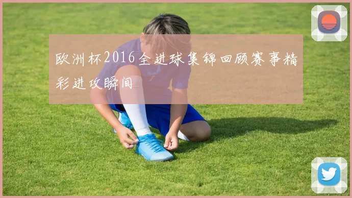欧洲杯2016全进球集锦回顾赛事精彩进攻瞬间