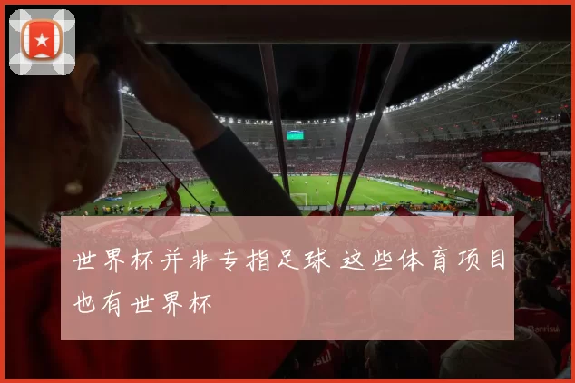 世界杯并非专指足球 这些体育项目也有世界杯