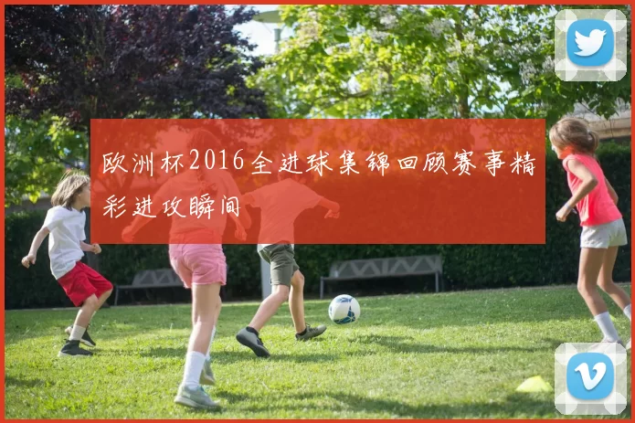 欧洲杯2016全进球集锦回顾赛事精彩进攻瞬间