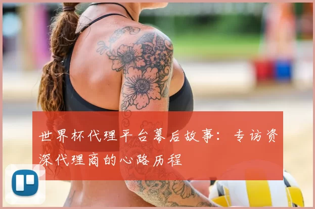 世界杯代理平台幕后故事:专访资深代理商的心路历程