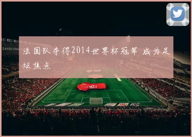 法国队夺得2014世界杯冠军 成为足坛焦点